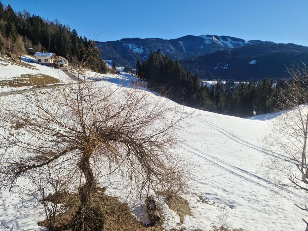 Schone Ferienwohnung Im Naturpark Grebenzen Sankt Lambrecht Esterno foto