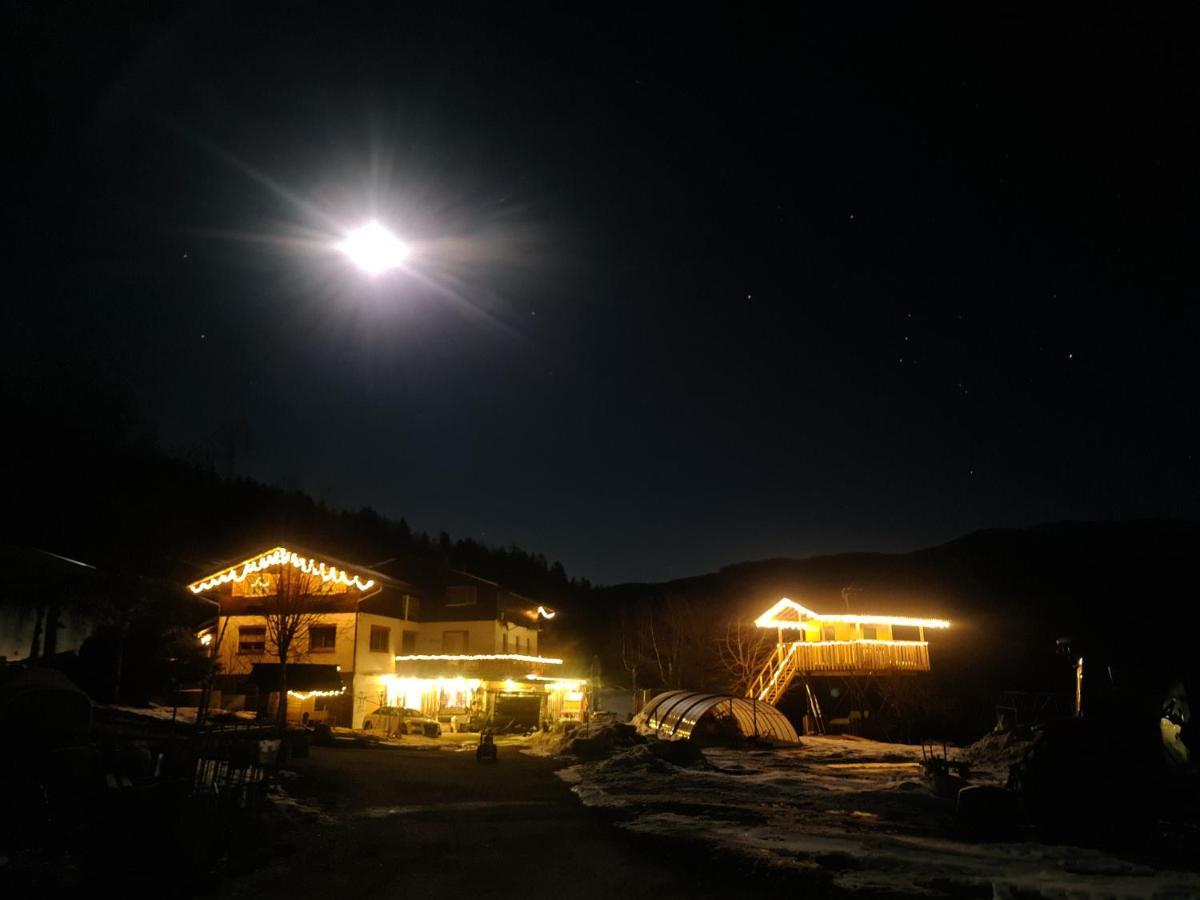 Schone Ferienwohnung Im Naturpark Grebenzen Sankt Lambrecht Esterno foto