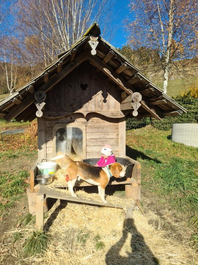 Schone Ferienwohnung Im Naturpark Grebenzen Sankt Lambrecht Esterno foto