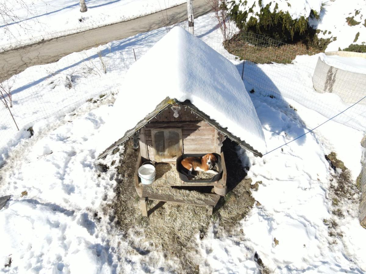 Schone Ferienwohnung Im Naturpark Grebenzen Sankt Lambrecht Esterno foto